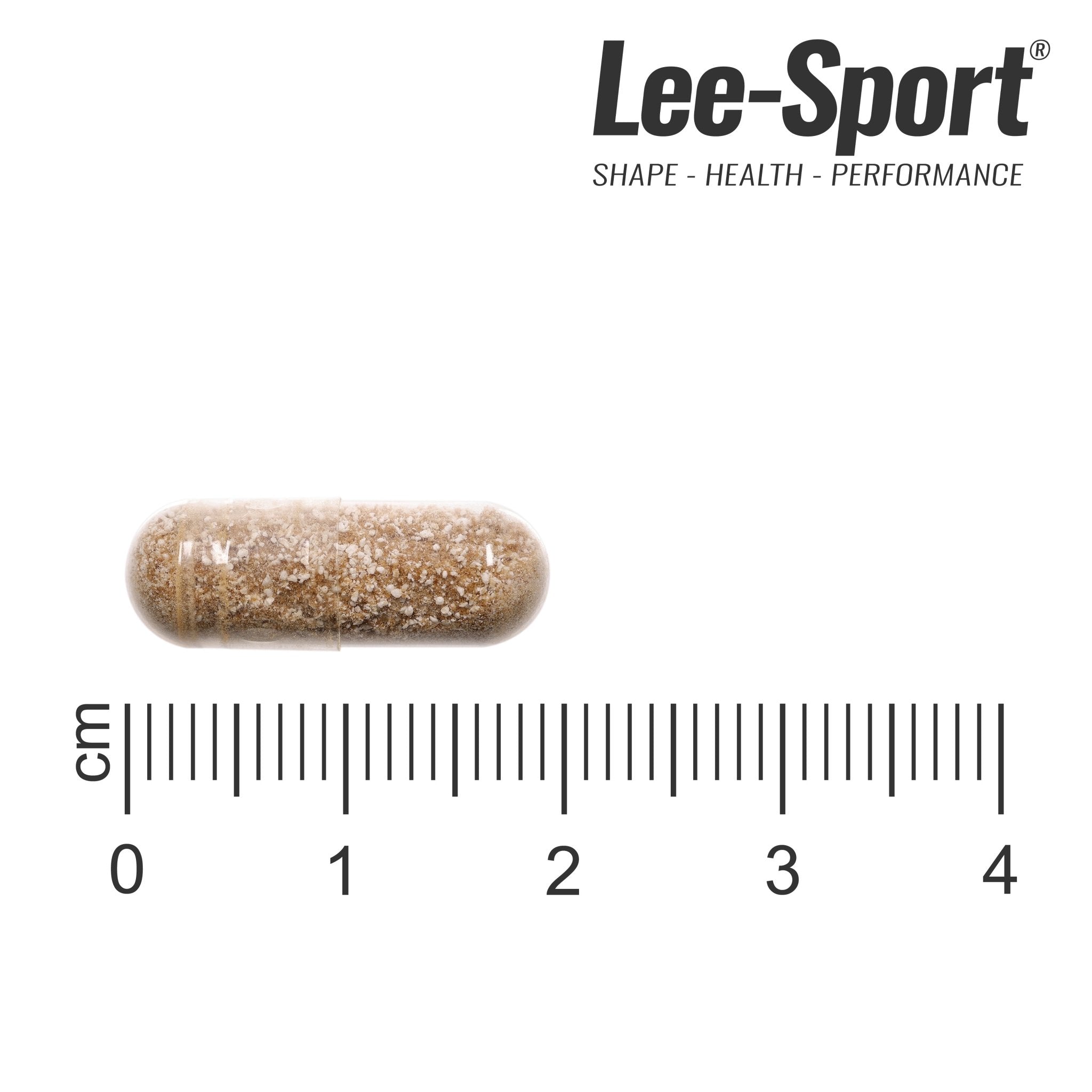 Ashwaganhda Sensoril, Size