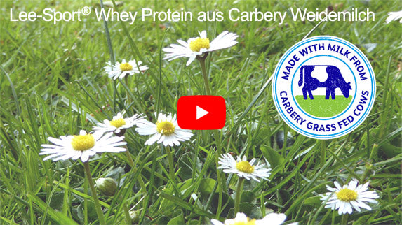 Video laden: Lee-Sport Whey Protein Qualität