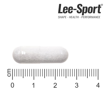 MSM 1000 Kapseln, Size